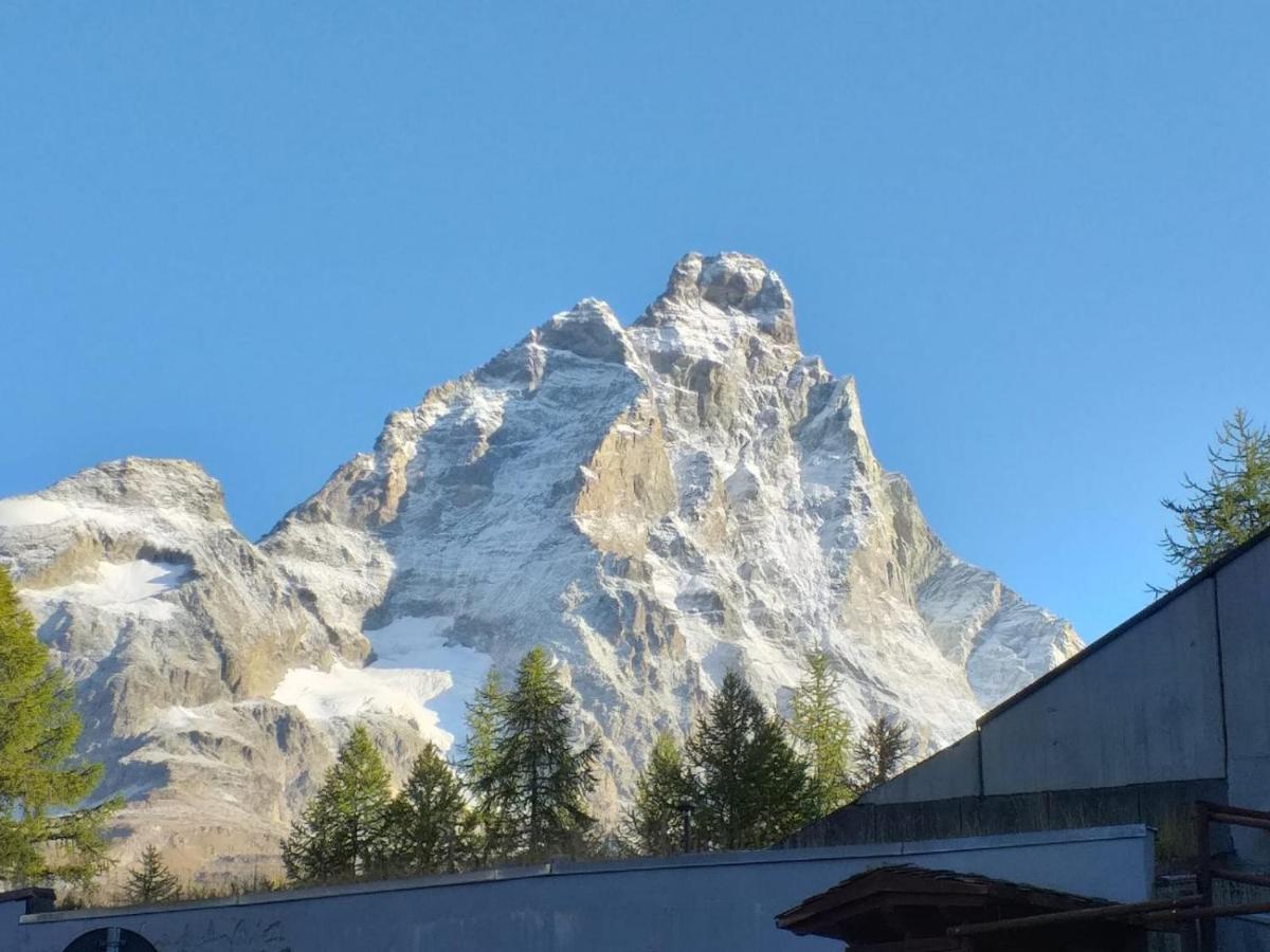 Soldanella Cervinia Apartment Vda Vacanze In Vetta Cir 0253 Breuil-Cervinia Exteriér fotografie